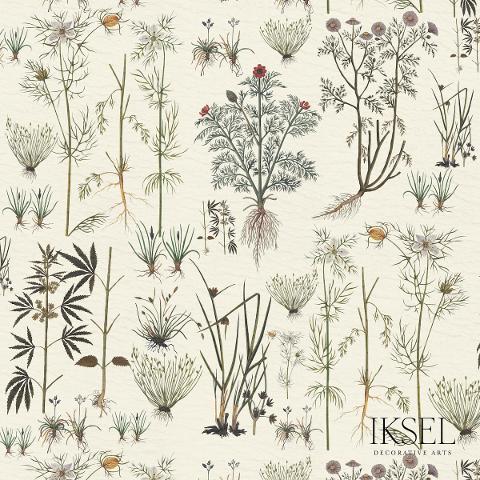 Herbier
