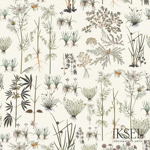 Herbier