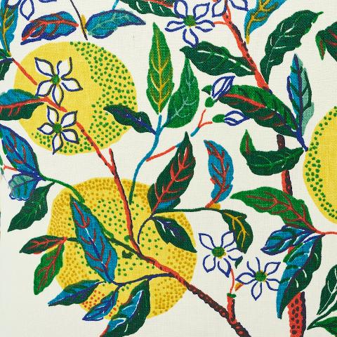 Citrus Garden Pillow