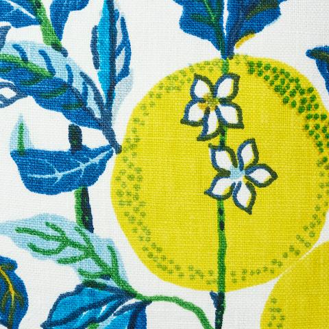 Citrus Garden Pillow