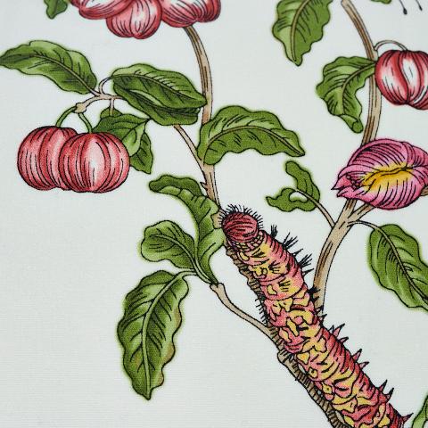 Baudin Butterfly Chintz Pillow