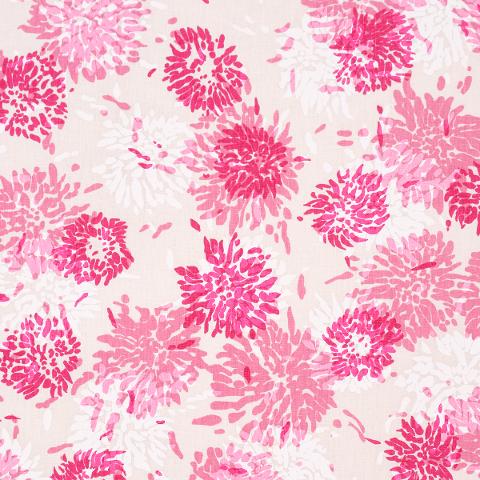 Chrysanthemum By Tillett