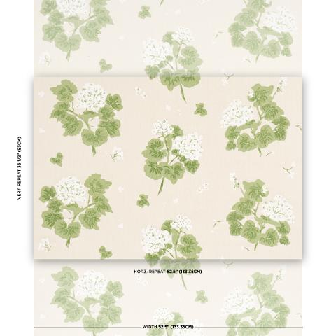 Geranium