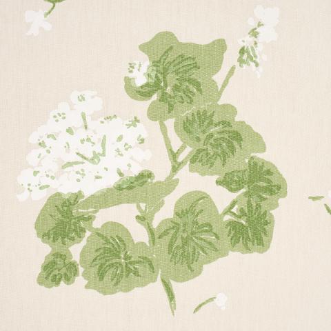 Geranium
