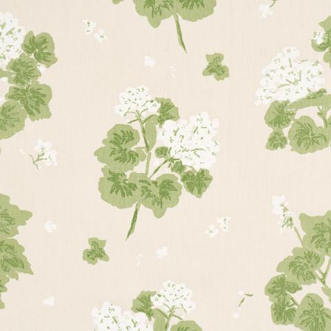 GERANIUM