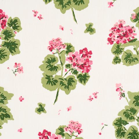 Geranium