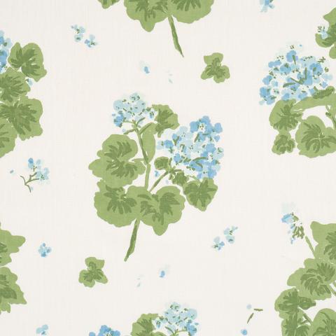 Geranium