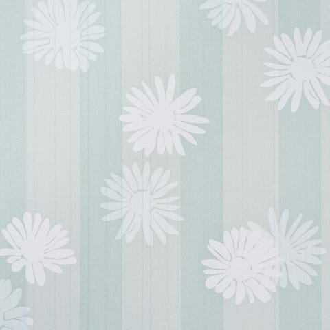 Jackie's Daisy