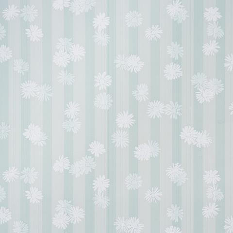 Jackie's Daisy