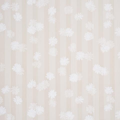Jackie's Daisy