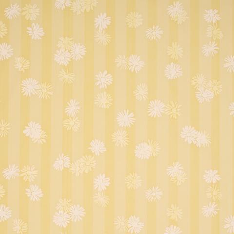 Jackie's Daisy
