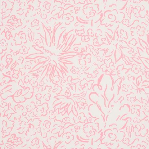 Matisse