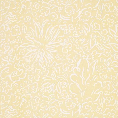Matisse