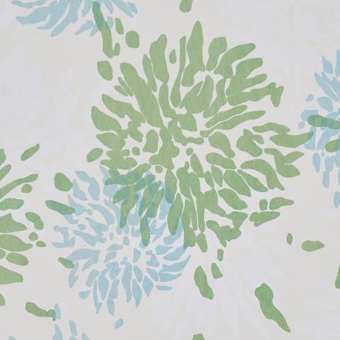 Chrysanthemum By Tillett