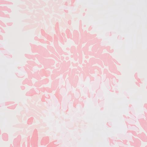 Chrysanthemum By Tillett